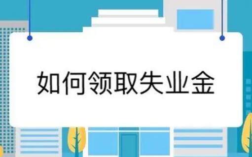 失業(yè)金領(lǐng)取條件及標準(失業(yè)金領(lǐng)取條件及標準成都)