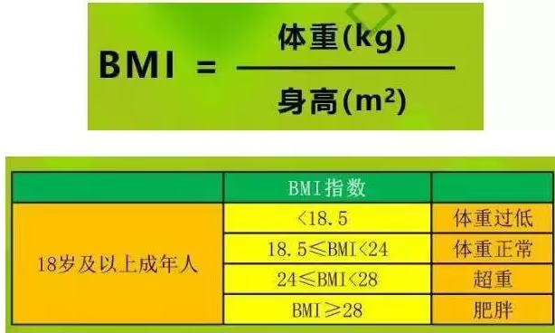 體重指數(shù)bmi計算-體重指數(shù)bmi計算過重均不