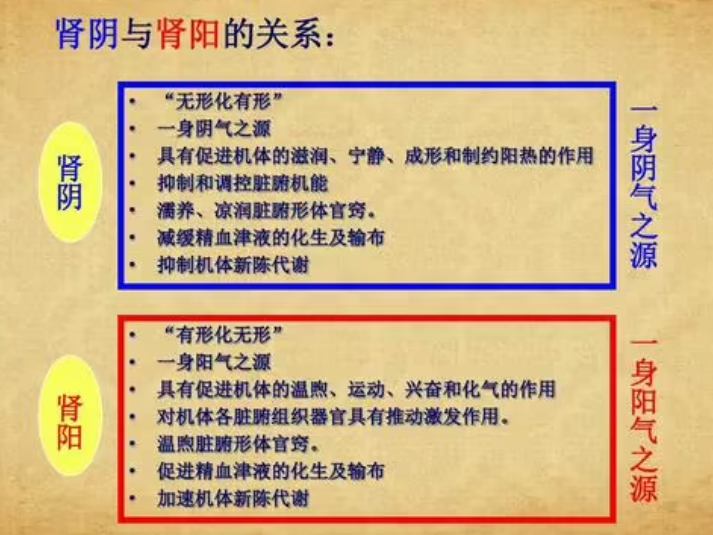 腎陽虛和腎陰虛有什么區(qū)別癥狀-腎陽虛和腎陰虛有什么區(qū)別癥狀陽虛呢今