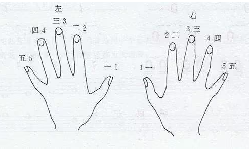 鋼琴入門指法教程-鋼琴入門指法教程指法是手