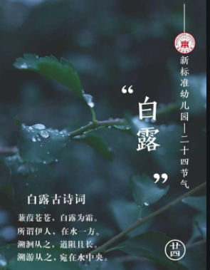 白露節(jié)氣的含義是什么