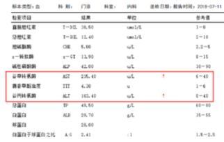 轉(zhuǎn)氨酶高是怎么回事有什么危害