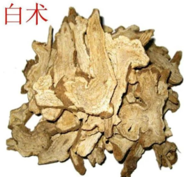 白術(shù)的功效與作用