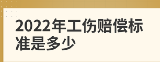 工傷賠償2022標(biāo)準(zhǔn)(工傷賠償2022標(biāo)準(zhǔn)九級)