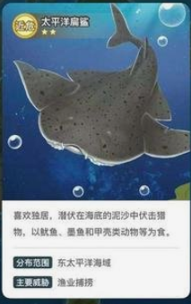 世界上最漂亮的鯊魚