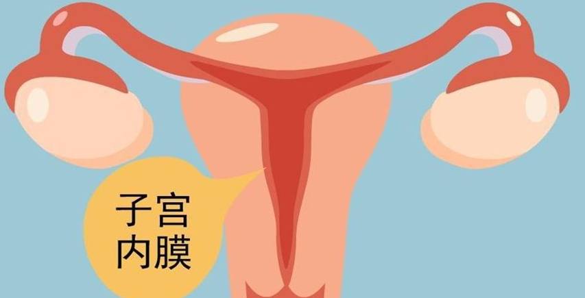 子宮內(nèi)膜厚度多少正常，女性朋友需要知道這些