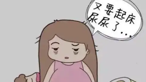 晚上尿次數多什么原因(晚上尿次數多什么原因女性)