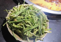 貢菜是一年生草本植物嗎(什么叫一年生草本植物)