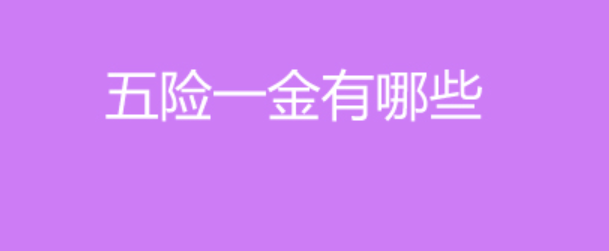 五險(xiǎn)一金有哪些