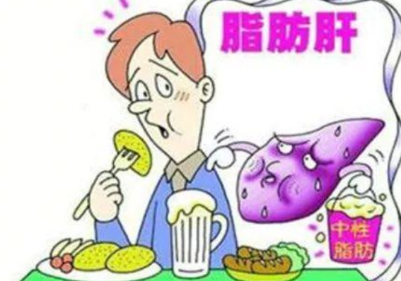 脂肪肝怎么調(diào)理最好最快(男性脂肪肝怎么調(diào)理最好最快)