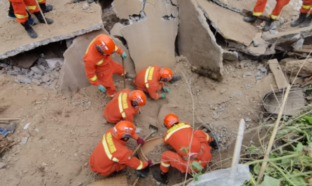 女子和她的76只羊消失在了地震中(女子和她的76只羊消失在了地震中英文翻譯)