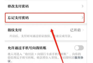 微信支付密碼忘記了怎么辦(微信支付密碼忘記了怎么辦2021)