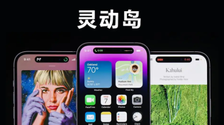 蘋果14pro靈動島怎么設(shè)置?iPhone14pro靈動島功能怎么用(iPhone14pro靈動島功能使用方法)