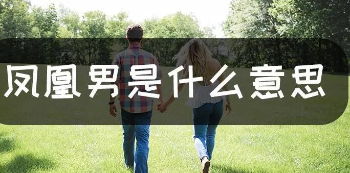 鳳凰男什么意思啊(鳳凰男是什么意思簡(jiǎn)單點(diǎn))