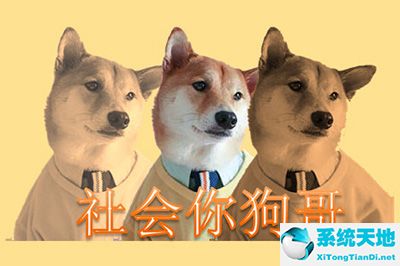 ppt疊放(ppt怎么設(shè)置疊加圖形模板)