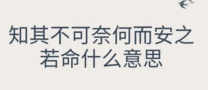 知其不可奈何而安之若命什么意思？（知其不可奈何而安之若命告訴我們什么道理）