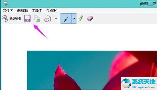 Win11如何使用自帶截圖功能