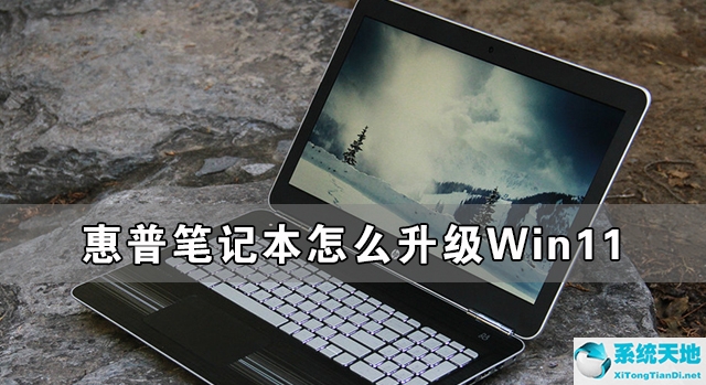 惠普電腦如何升級win11(惠普筆記本如何升級win11)