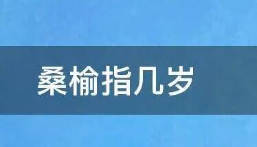 桑榆之年是多少歲？（什么是桑榆之年）