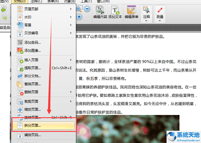 迅捷pdf編輯器怎么拆分表格(迅捷pdf轉(zhuǎn)換器怎么拆分)