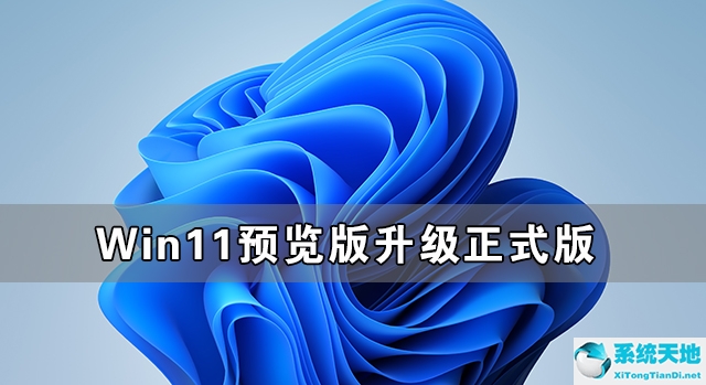 win11預(yù)覽版怎么升級(jí)正式版(win11預(yù)覽版能不能升級(jí)正式版)