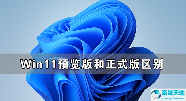 win11預(yù)覽版穩(wěn)定嗎(win11預(yù)覽版三個(gè)版本的區(qū)別)