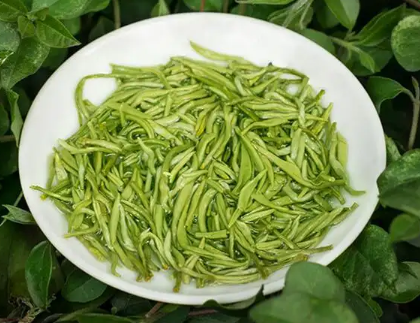 碧螺春是綠茶嗎(碧螺春是綠茶不)