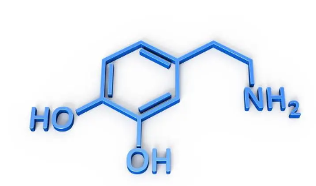 多巴胺是什么 多巴胺和荷爾蒙