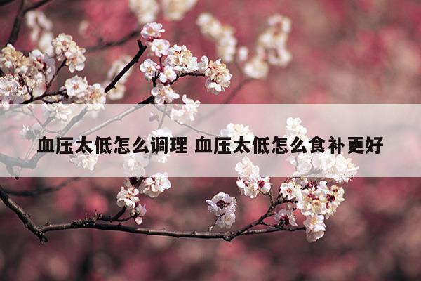 血壓太低怎么調(diào)理血壓太低怎么食補(bǔ)更好(血壓太低怎么辦吃點(diǎn)什么能好)