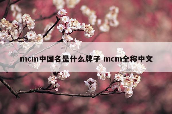 mcm中國名是什么牌子mcm全稱中文(mcm的中文名)