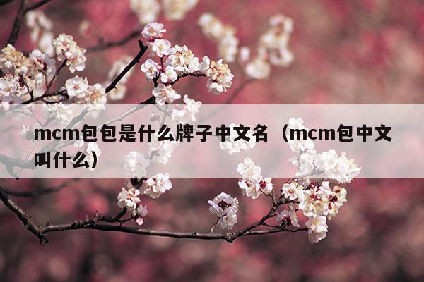 mcm包包是什么牌子中文名(mcm包叫什么名字)