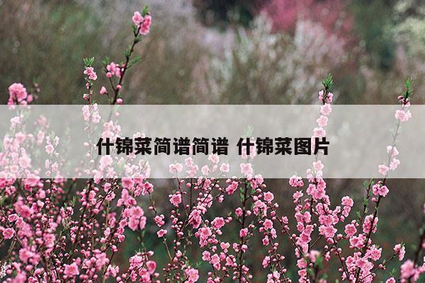 什錦菜簡(jiǎn)譜簡(jiǎn)譜什錦菜圖片(什錦菜是什么)