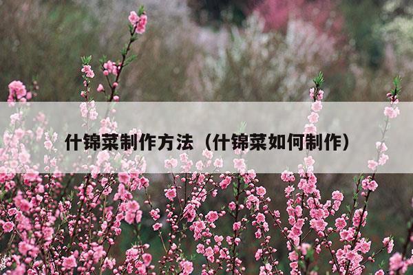 什錦菜制作方法(什錦菜制作方法英文版)