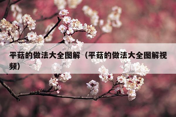 平菇的做法大全圖解(平菇的簡(jiǎn)單家常做法)