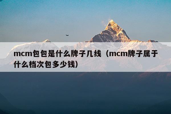 mcm包包是什么牌子幾線(mcm包包是什么牌子)