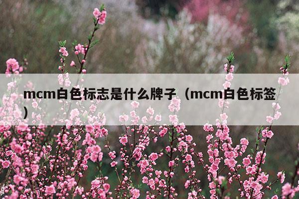 mcm白色標志是什么牌子(mcm有米白色的包嗎)