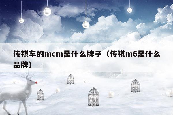 傳祺車的mcm是什么牌子(廣汽傳祺wdem是什么)