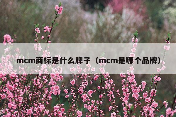 mcm商標(biāo)是什么牌子(mcm墻面是什么材質(zhì))