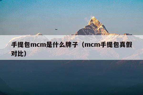 手提包mcm是什么牌子(mcm封裝是什么意思)