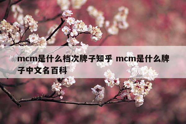 mcm是什么品牌?