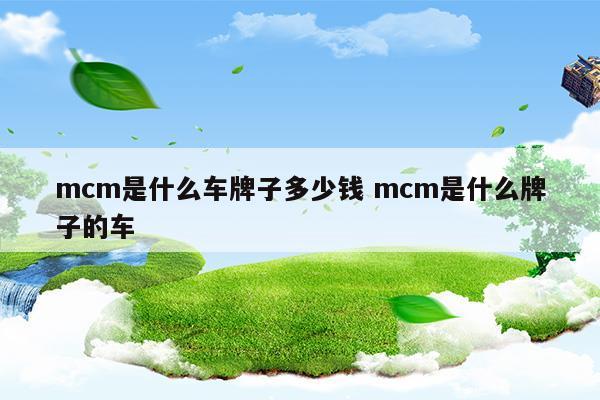 mcm是什么車牌子多少錢mcm是什么牌子的車(mcm是什么牌子中文名百科)