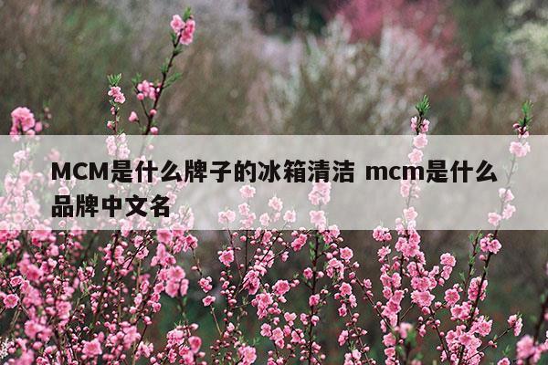 MCM是什么牌子的冰箱清潔mcm是什么品牌中文名(MCM是什么牌子的冰箱清潔mcm是什么品牌中文名)