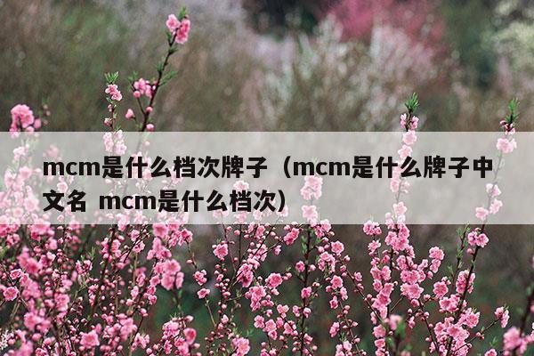 mcm是什么檔次牌子(mcm是什么牌子中文名 mcm是什么檔次)