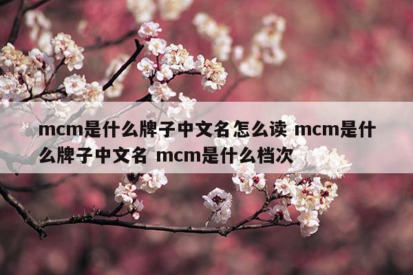 mcm是什么牌子中文名怎么讀mcm是什么牌子中文名mcm是什么檔次(mcm中文叫什么)