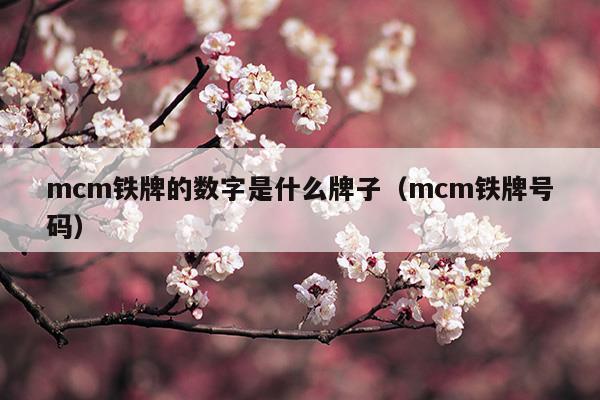 mcm鐵牌的數(shù)字是什么牌子(mcm墻面是什么材質(zhì))