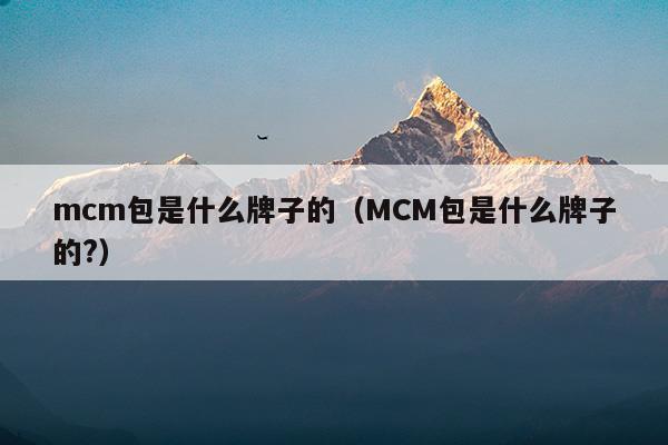 mcm包是什么牌子的(徐記海鮮的核桃包是什么牌子的)