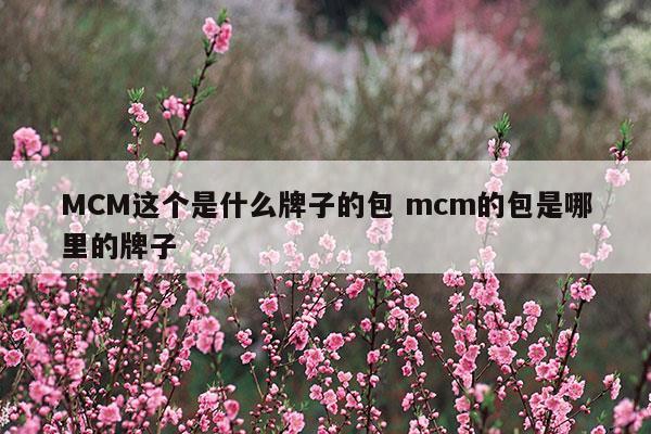 MCM這個是什么牌子的包mcm的包是哪里的牌子(mcm是什么牌子)