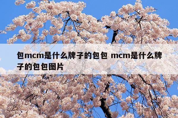 包mcm是什么牌子的包包mcm是什么牌子的包包圖片(mcm是什么牌子的包包價格)