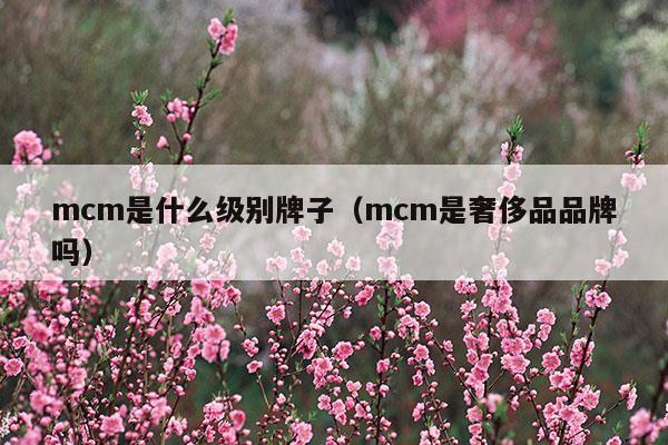 mcm是什么牌子價位是多少