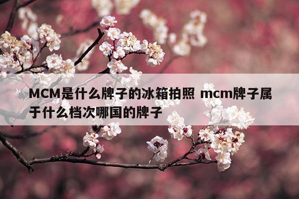 MCM是什么牌子的冰箱拍照mcm牌子屬于什么檔次哪國的牌子(mcm檔次怎么樣)